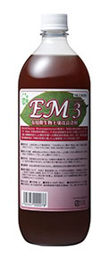 EM3