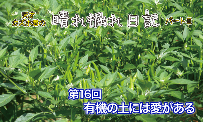 16@厖ȂƂ΂