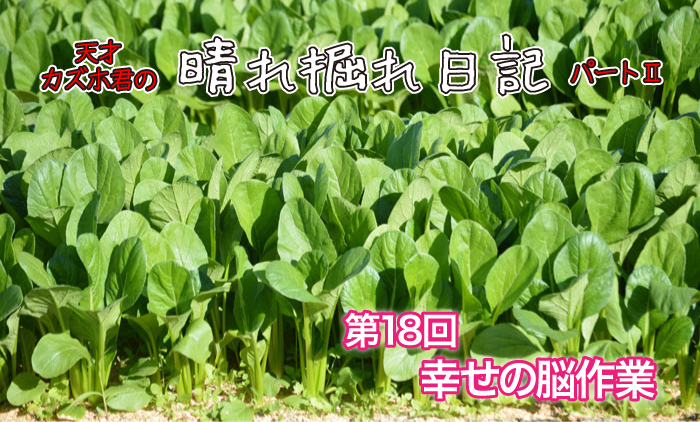 18@K̔]