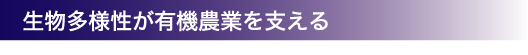 lL@_Ƃx