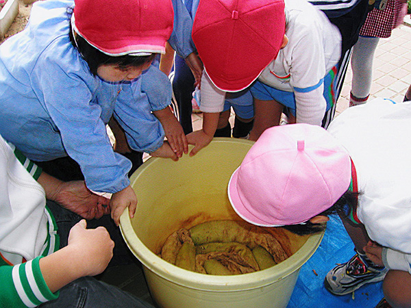 第9回  日本の伝統”発酵食品”を見直そう