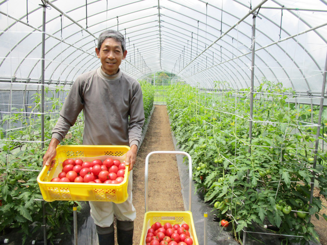 第7回　EM柴田農園直伝 食べる前に知って欲しいトマトの”いい話”～すごいぞトマト、医者いらず！？～