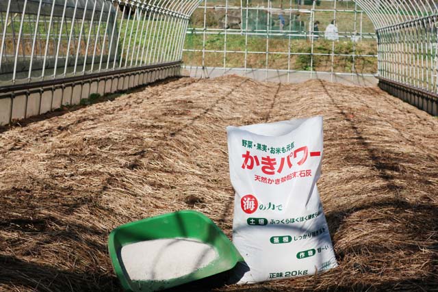 12月になってから有機石灰の「カキ殻」を投入します。来年春にはニガリを入れます

