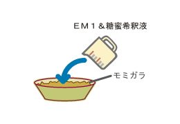 モミガラをタライに入れて、半分量のＥＭ１＆糖蜜希釈液をかけてしみこませます。