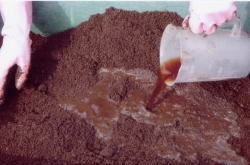 山土などの場合は、ふるいにかけて石を取り除く。土にＥＭボカシ、ＥＭＸセラミックスパウダーを入れて、よく混ぜる　ＥＭ活性液を小量ずつ入れて、よくこねる。（水分量を４０%程度にする）