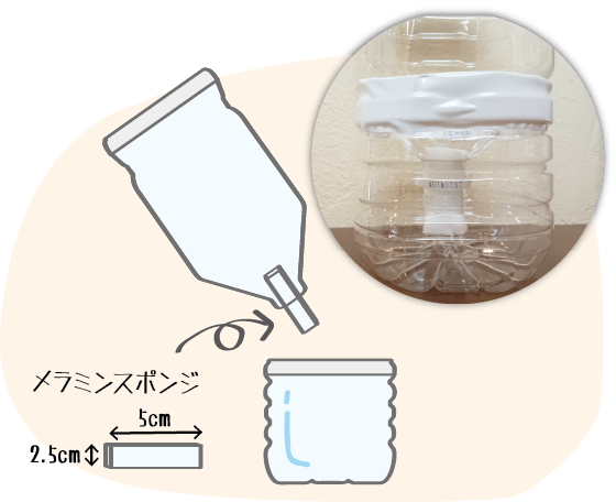 キャップを外し、水を吸い上げるためのメラミンスポンジを5×2.5cmの大きさに切り、ボトルの口に差し込みます。