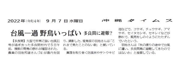 ＜記事6＞台風一過　野鳥いっぱい
（2022年9月7日/ 沖縄タイムス社　提供）