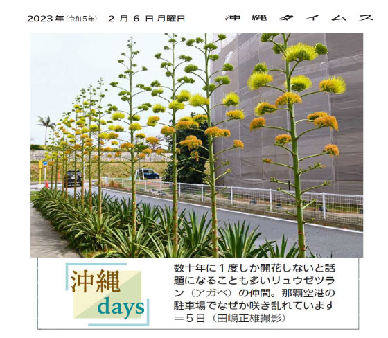 2023年2月6日　沖縄days（沖縄タイムス社　提供）
