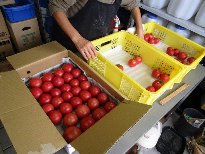 Part.2 第10回　EM栽培で理想的な野菜づくりとは～農園見学会のお知らせ