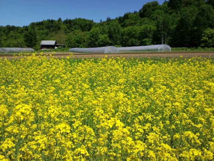 北海道・朱鞠内で暮らす│宮原光恵