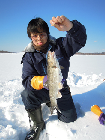 朱鞠内湖のアメマス、貴重な食糧！