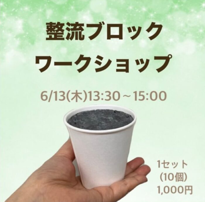 【徳島】整流ブロックワークショップ