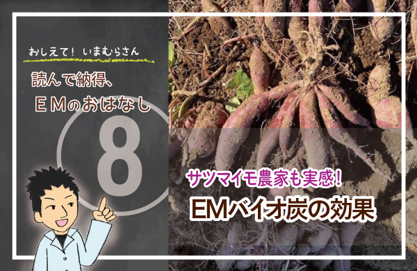 サツマイモ農家も実感！EMバイオ炭の効果