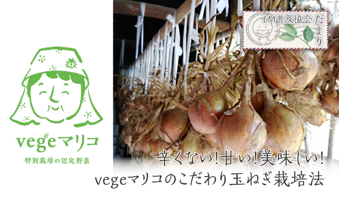辛くない！甘い！美味しい！vegeマリコのこだわり玉ねぎ栽培法|【北陸EM普及協会】