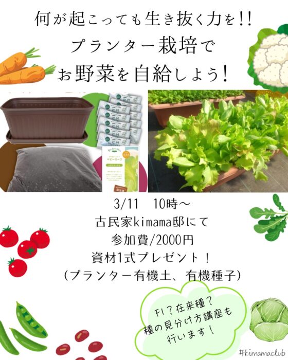 【福岡】プランター栽培でお野菜を自給しよう！