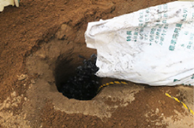 掘った穴にEMバイオ炭（EM整流炭）を投入