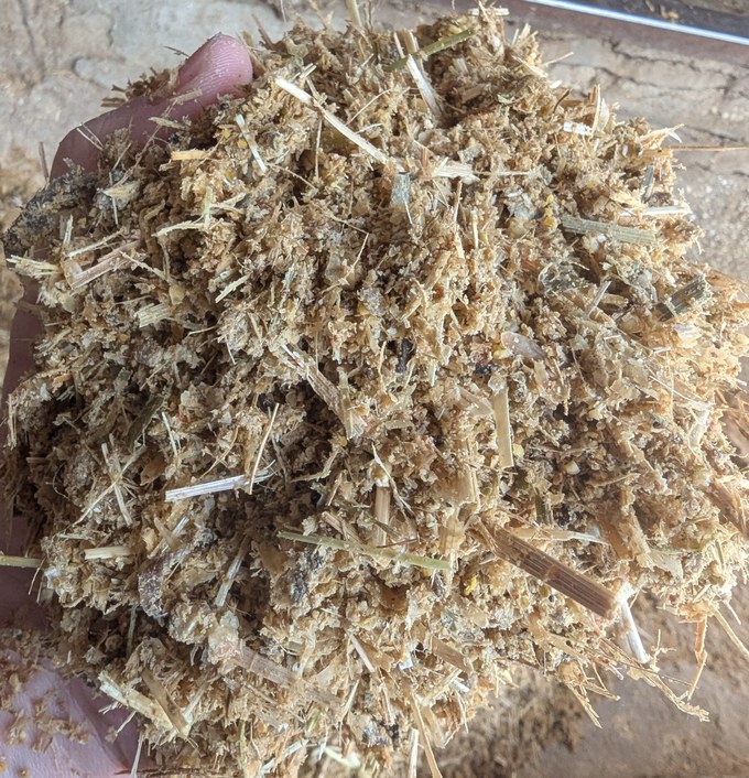 EM Nutri Silを接種したサイレージ
